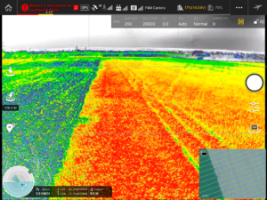 živý náhled ndvi indexu dji p4 multispectral